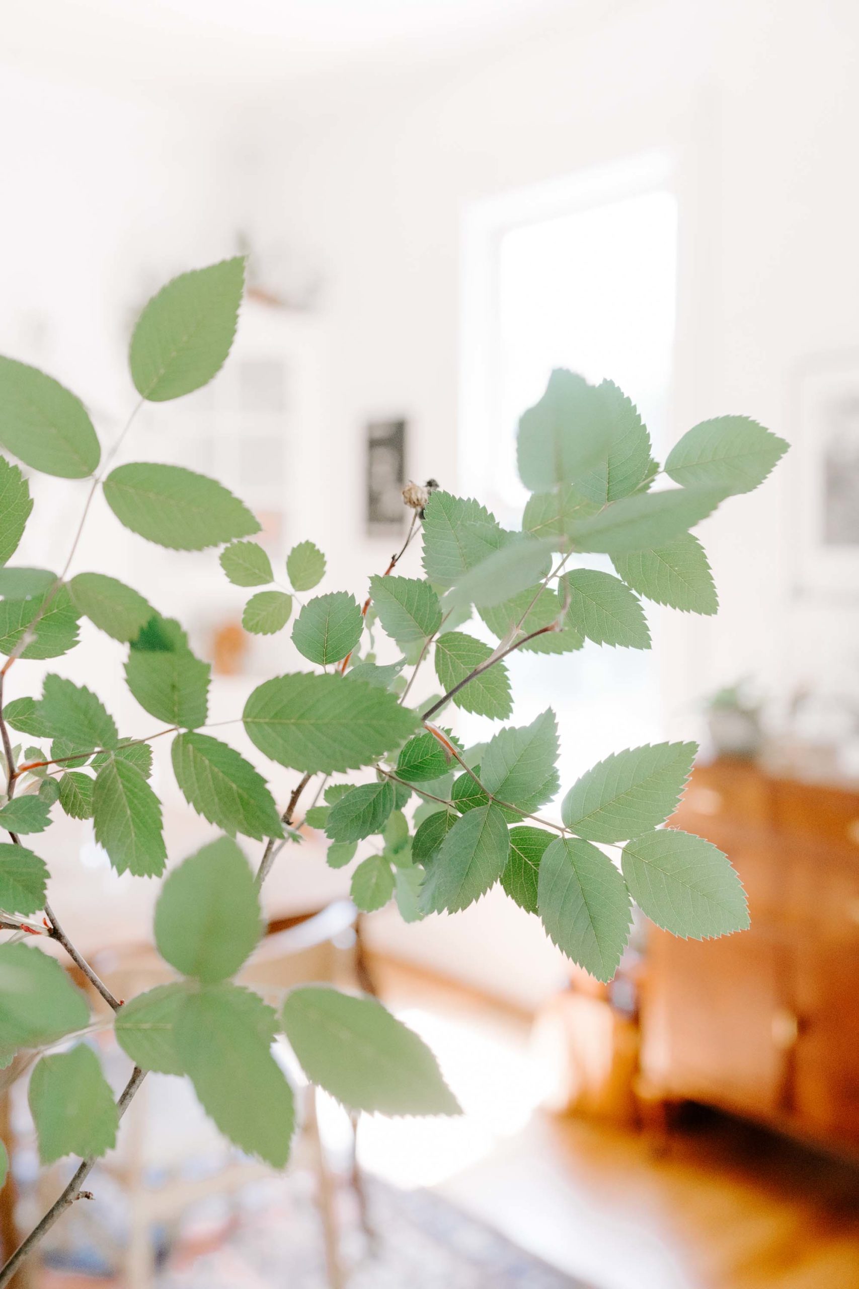 stock images for social media